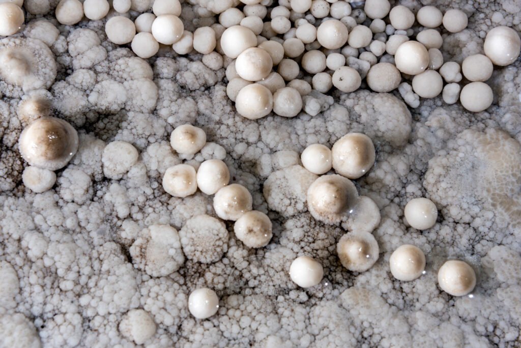 Nid de perles (Réseau des perles, Sud France, Pisolithes)
