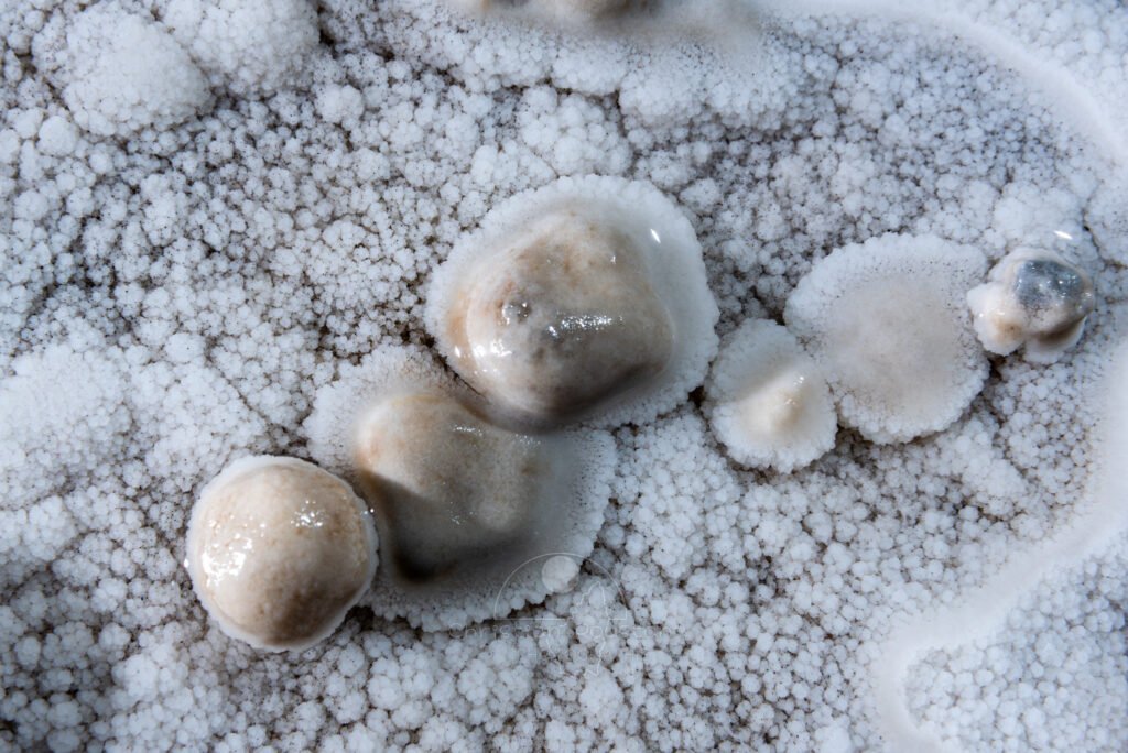 Un groupe de perles avec collerette cristallisée (Réseau des perles, Sud France, Pisolithes)