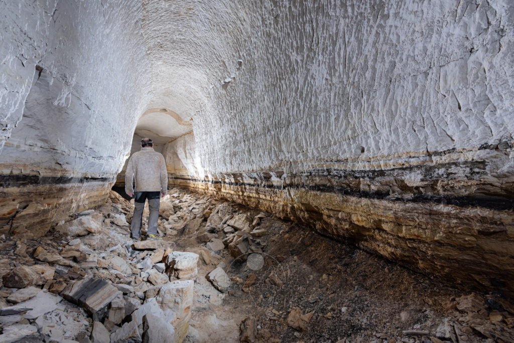 Niveau de la lignite (Carrière de sable blanc, Piolenc, Vaucluse)