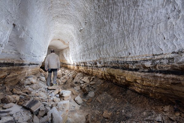 Niveau de la lignite (Carrière de sable blanc, Piolenc, Vaucluse)
