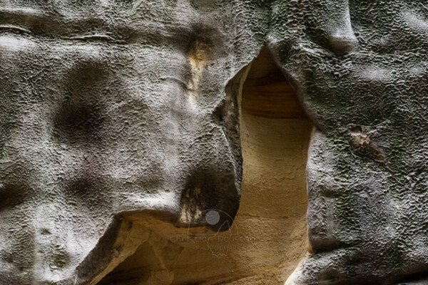 (Carrière de sable blanc, Piolenc, Vaucluse)