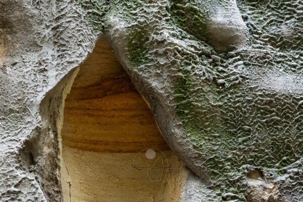 (Carrière de sable blanc, Piolenc, Vaucluse)