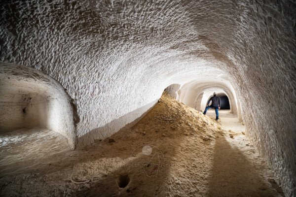 (Carrière de sable blanc, Piolenc, Vaucluse)