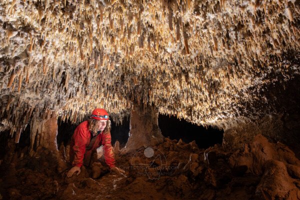 Spéléo dans passage bas, la plafond est couvert de petites stalactites. (Spéléo, Grotte du Prevel, Gard)